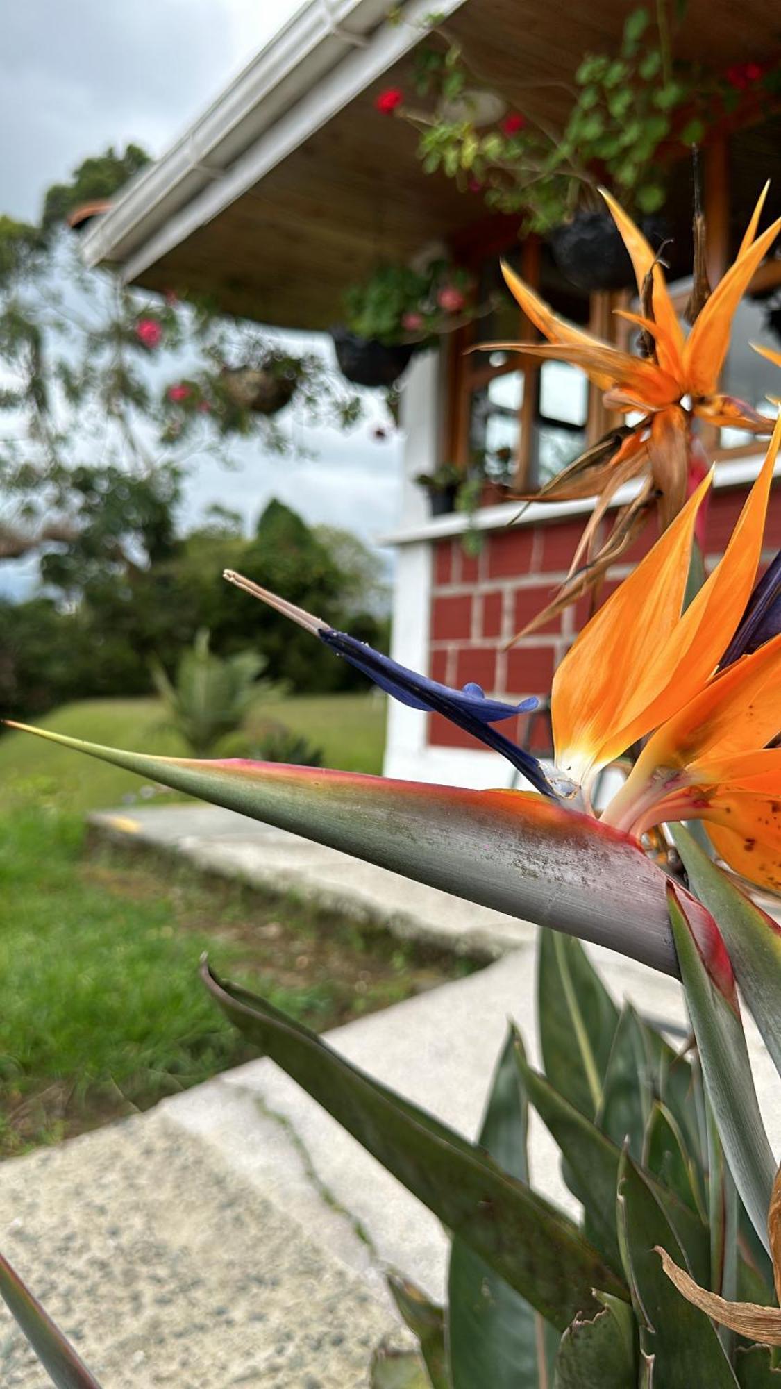 Finca La Toscana El Manzano  Екстериор снимка